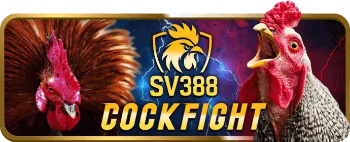 Cá cược thể thao trên thabet77 app